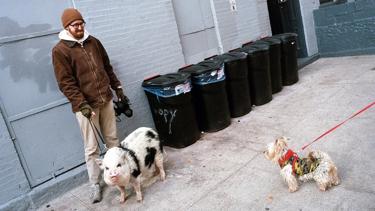 Tenhle výjev v žádném díle neuvidíte – John Wilson si jen mimo záběr vypůjčil prase, které venčila jedna dáma na ulicích New Yorku. Foto HBO